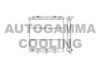 AUTOGAMMA 103269 Radiator, engine cooling